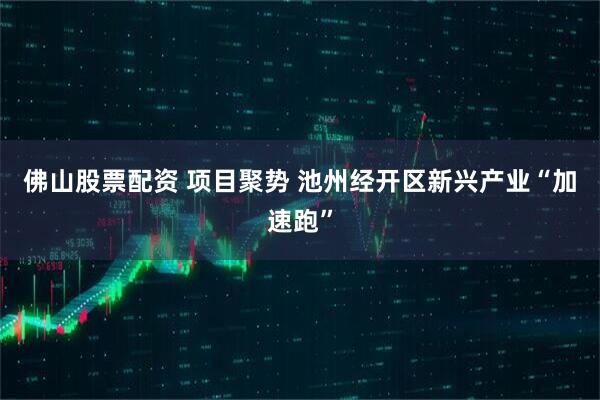 佛山股票配资 项目聚势 池州经开区新兴产业“加速跑”
