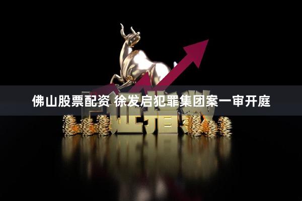 佛山股票配资 徐发启犯罪集团案一审开庭