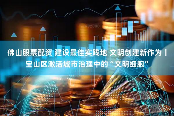 佛山股票配资 建设最佳实践地 文明创建新作为丨宝山区激活城市治理中的“文明细胞”